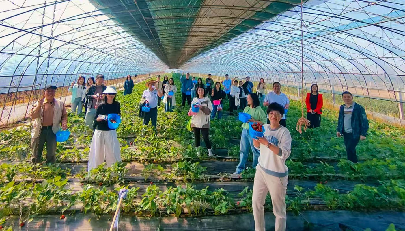 创世大发(中国)官方网站